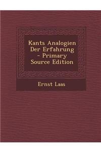 Kants Analogien Der Erfahrung