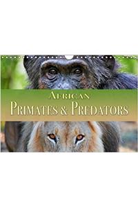 African Primates and Predators 2018