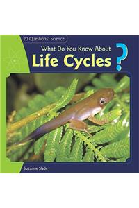 What Do You Know about Life Cycles?