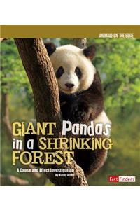 Giant Pandas in a Shrinking Forest