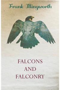 Falcons and Falconry