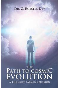 The Path to Cosmic Evolution