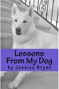 Lessons From My Dog