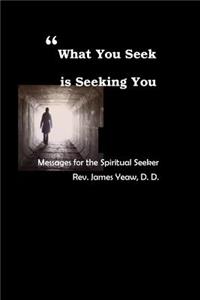 What You Seek is Seeking You