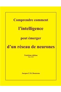 Comprendre comment l'intelligence peut emerger d'un reseau de neurones