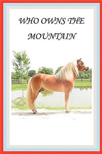 Who Owns the Mountain