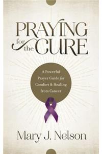 Praying for the Cure