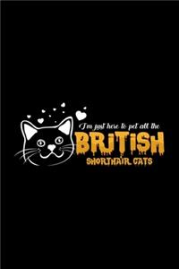 Pet all the british shorthair cats
