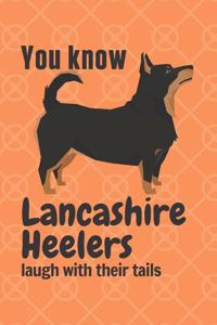 You know Lancashire Heelers laugh with their tails: For Lancashire Heeler Dog Fans