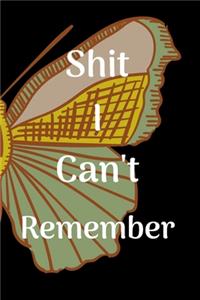 Shit I Can't Remember