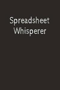 Spreadsheet Whisperer