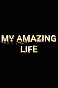 My Amazing Life