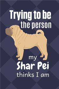 Trying to be the person my Shar Pei thinks I am