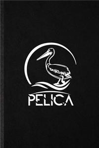 Pelica