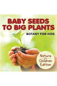 Baby Seeds To Big Plants