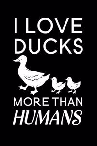 I love ducks more than humans