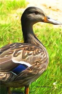 Duck Notebook