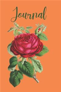Journal