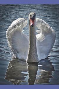 Swan Journal