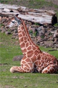 Giraffe Notebook