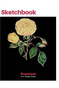 SketchBook