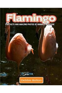 Flamingo: Fun Facts and Amazing Photos of Animals in Nature