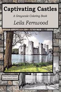 Captivating Castles