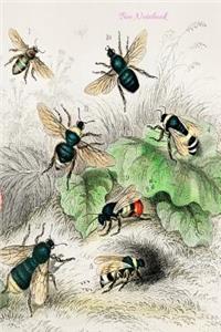Bee Notebook