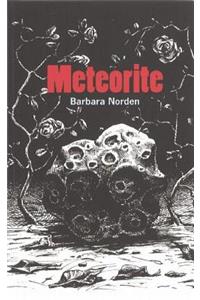 Meteorite