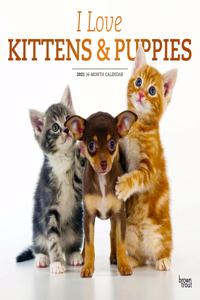 KITTENS PUPPIES I LOVE 2021 SQUARE FOIL