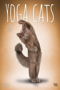Yoga Cats 2024 Square