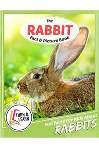 The Rabbit Fact and Picture Book: Fun Facts for Kids About Rabbits (Turn and Learn)