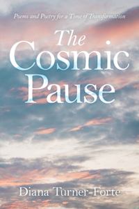 Cosmic Pause