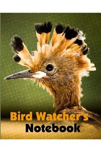 Hoopoe