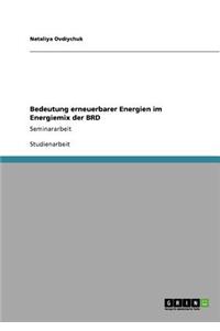 Bedeutung erneuerbarer Energien im Energiemix der BRD