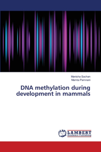 DNA methylation during development in mammals