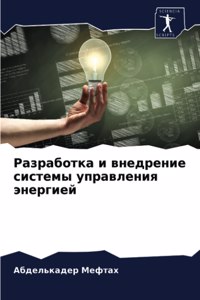 Разработка и внедрение системы управлени