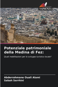 Potenziale patrimoniale della Medina di Fez