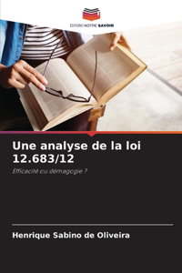analyse de la loi 12.683/12