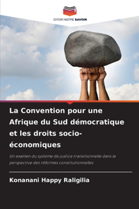 La Convention pour une Afrique du Sud démocratique et les droits socio-économiques