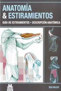 Anatomia & estiramientos / Anatomy & Stretching: Guia de estiramientos. Descripcion Anatomica / Stretching Guide. Anatomic Description: 5