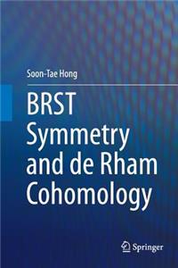 Brst Symmetry and de Rham Cohomology