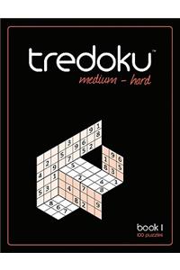 Tredoku - Medium-Hard 1