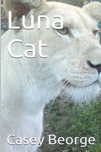 Luna Cat