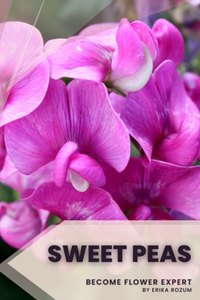 Sweet Peas