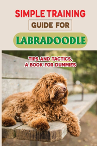 Simple Training Guide For Labradoodle