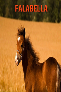 Falabella