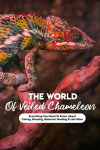 The World Of Veiled Chameleon Everything You Need To Know About Caring, Housing, Behavior Feeding & Lots More