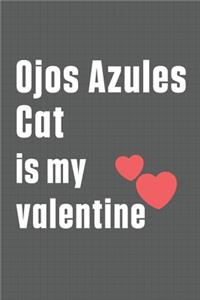 Ojos Azules Cat is my valentine