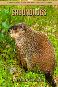 Groundhogs